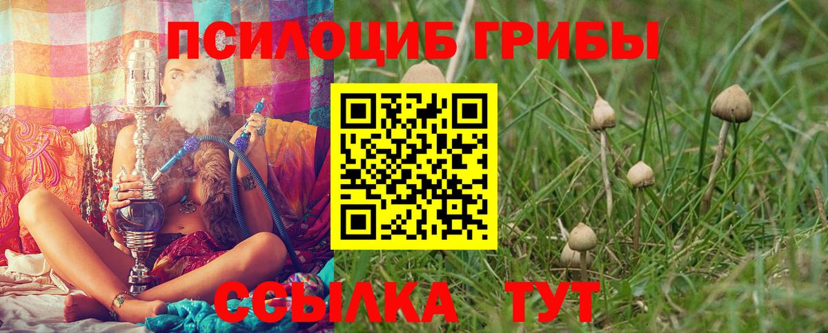 Псилоцибиновые грибы MAGIC MUSHROOMS Большой Камень