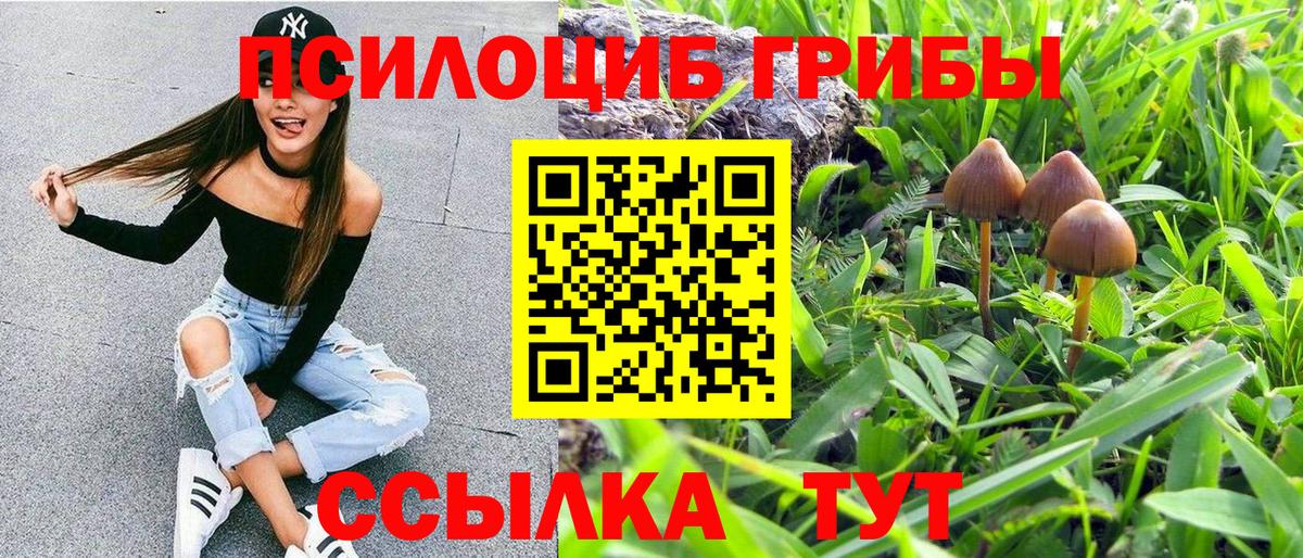 Галлюциногенные грибы Psilocybe  Вход с VPN  Большой Камень  Галлюциногенные грибы Magic Shrooms 